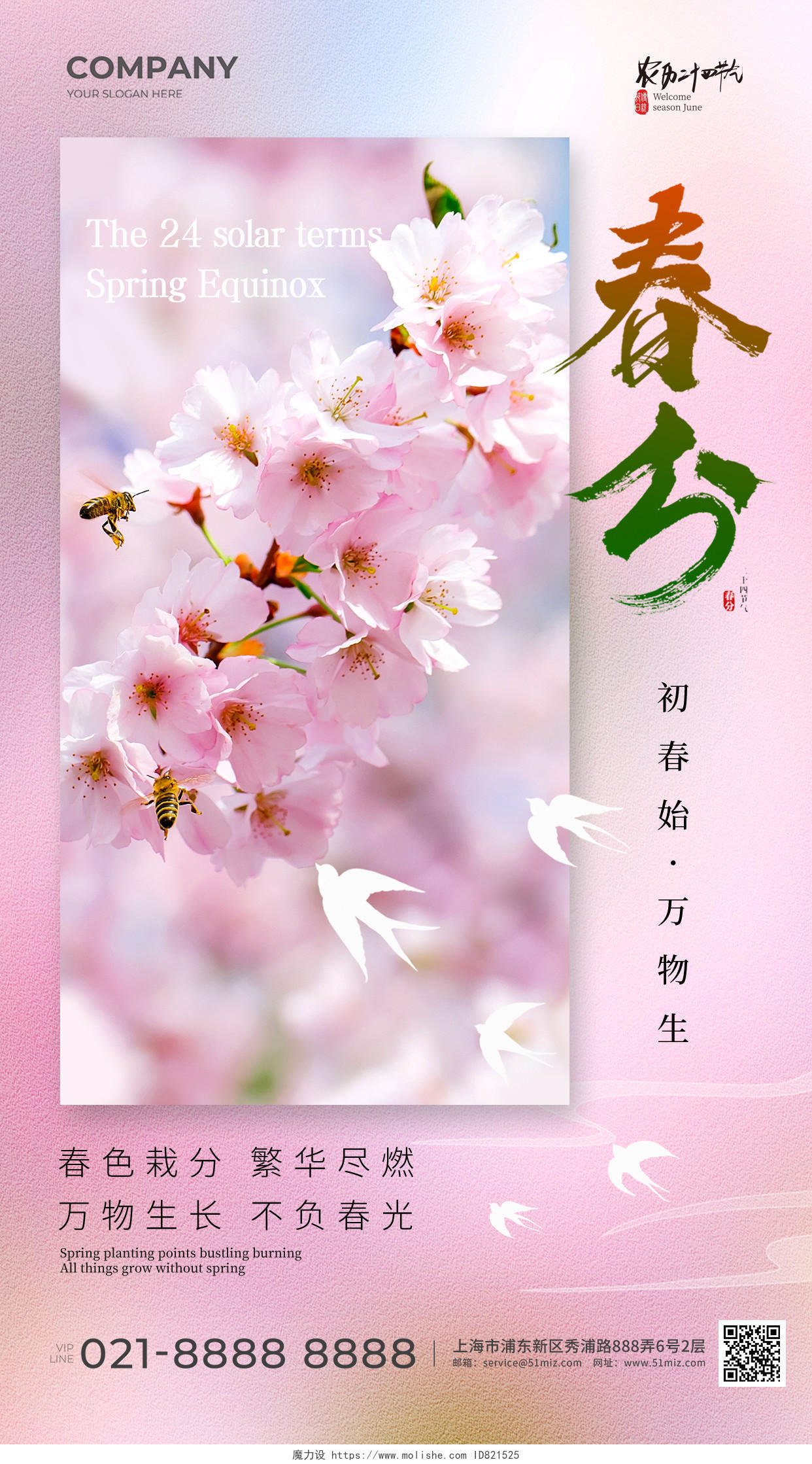 粉色桃花实拍二十四节气春分手机宣传海报